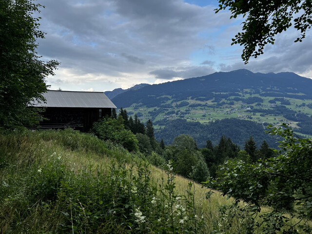 Tschagguns | Waldflächen | Landwirtschaftliche Flächen | Kauf