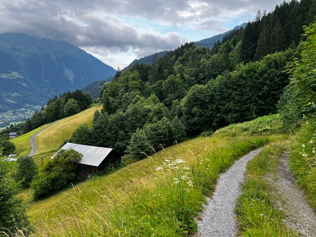 Tschagguns | Waldflächen | Landwirtschaftliche Flächen | Kauf