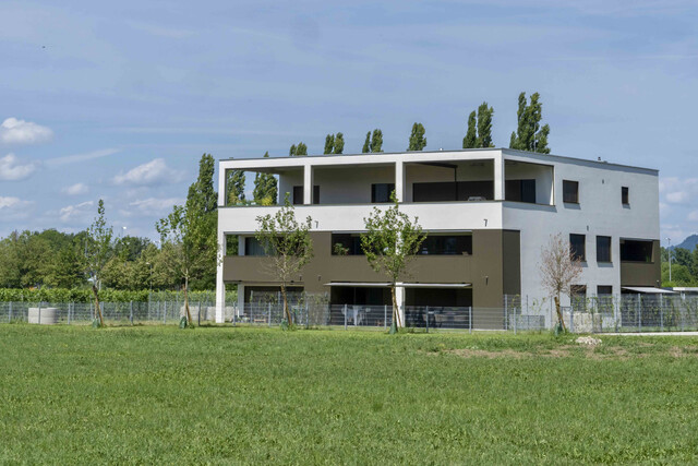 3 Zimmer Gartenwohnung Süd-West orientiert . SEEnahes FREIstehendes DREIgeschoßiges Wohngebäude  Angrenzend an Weingärten. In Sackgasse. T2
