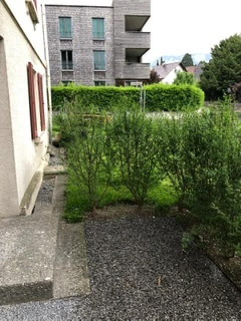 Kurzzeitmiete! Komplett möblierte 1-Zimmer-Wohnung in Dornbirn für 2 Monate zu mieten