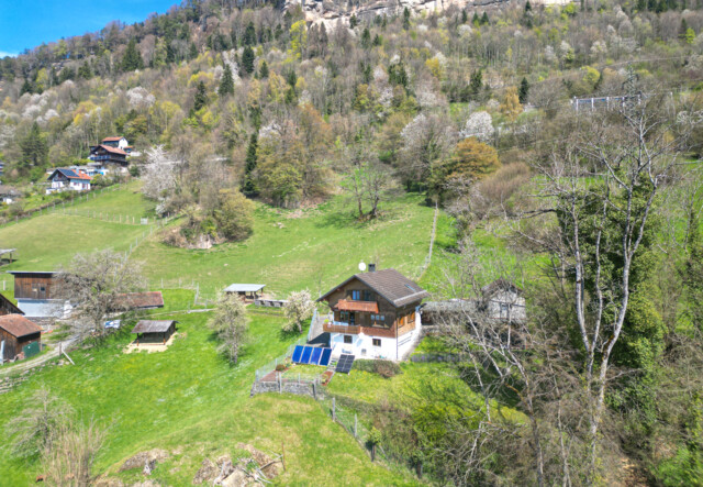 Einzigartig gelegenes Einfamilienhaus mit Rheintalblick