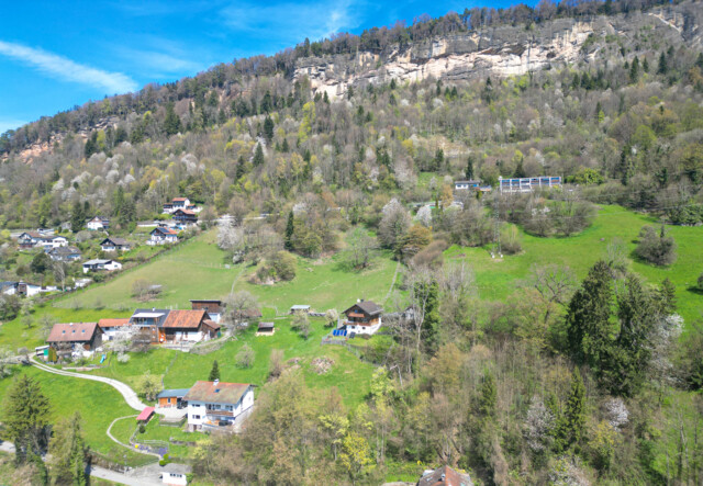 Einzigartig gelegenes Einfamilienhaus mit Rheintalblick