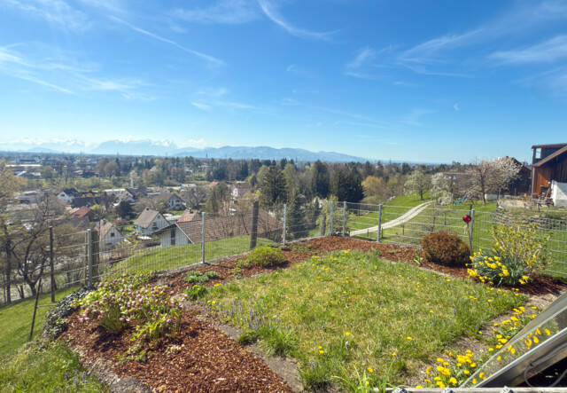 Einzigartig gelegenes Einfamilienhaus mit Rheintalblick