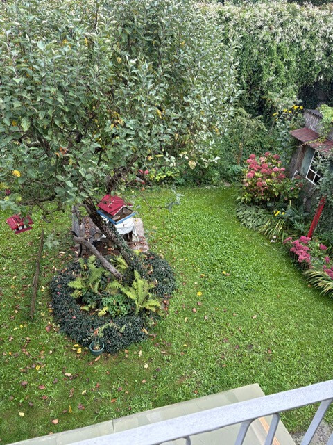 3-Zimmergartenwohnung in Bregenz provisionsfrei zu vermieten