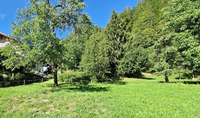 Land- und Forstwirtschaftsflächen zu verkaufen