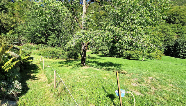 Land- und Forstwirtschaftsflächen zu verkaufen