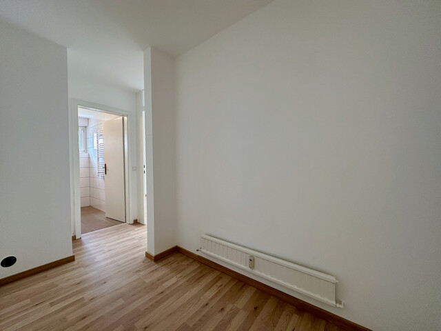"ohne Provision" neu renovierte 2,5 Zimmer Zimmer Wohnung mit großer Terrasse