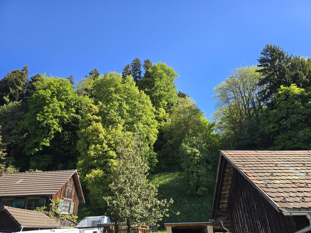 Lichtdurchflutete Altbau-Maisonette mit Garten – 140 m² Wohngefühl wie im eigenen Haus