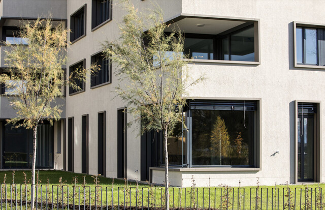 2 Zimmer-Wohnung  |  Lochau  |  Balkon