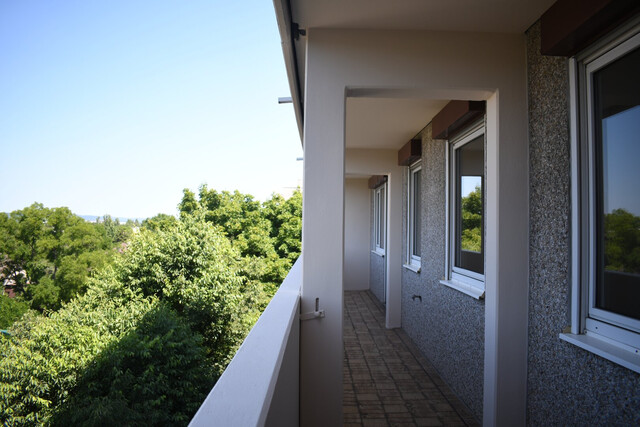 Moderne 4-Zimmer-Wohnung mit Loggia in Wiener Neudorf – Familienhit