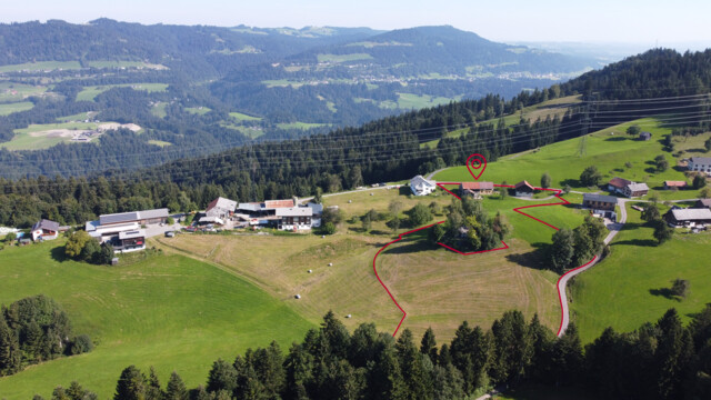 Landwirtschaftliche Liegenschaft in Bildstein - nur für Landwirte!