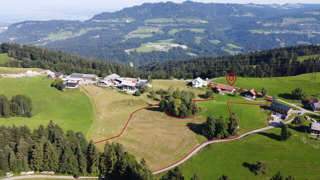 Landwirtschaftliche Liegenschaft in Bildstein - nur für Landwirte!
