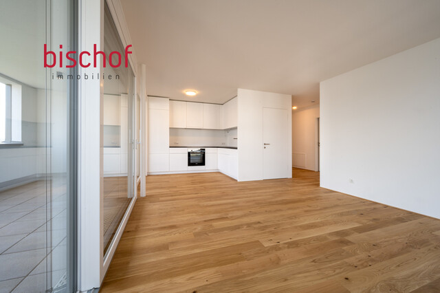 Schöne Wohnung mit grosser Terrasse