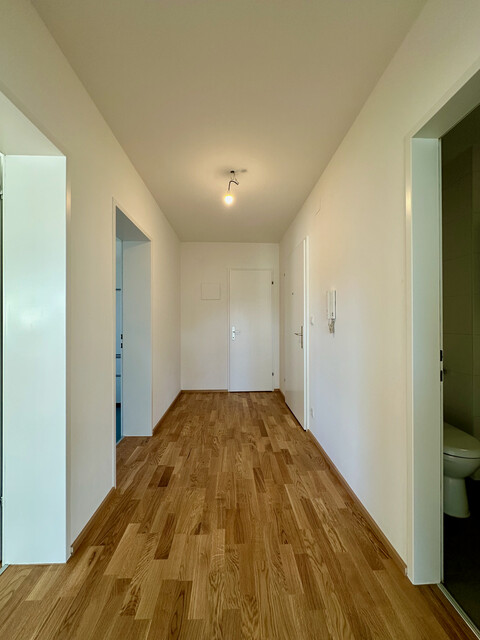 ohne Provision -  geräumige neu renovierte 2,5 Zimmer Wohnung mit verglasten Balkon