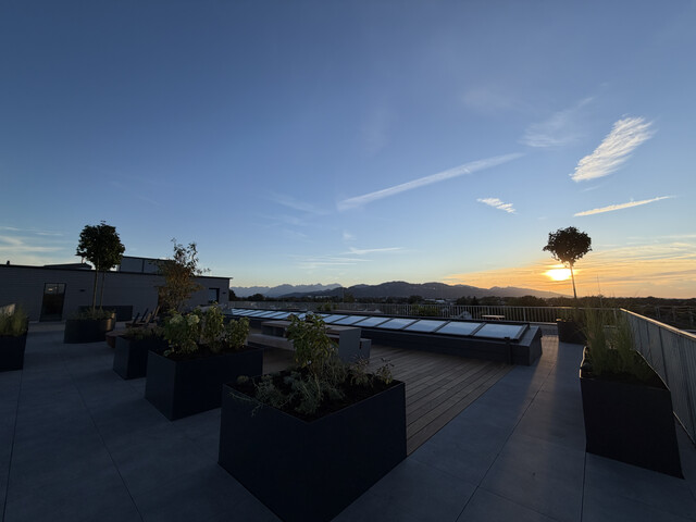 Zwischen Ried und See: 3 Zimmer, viel Grün & eine Dachterrasse, die alles andere als gewöhnlich ist.