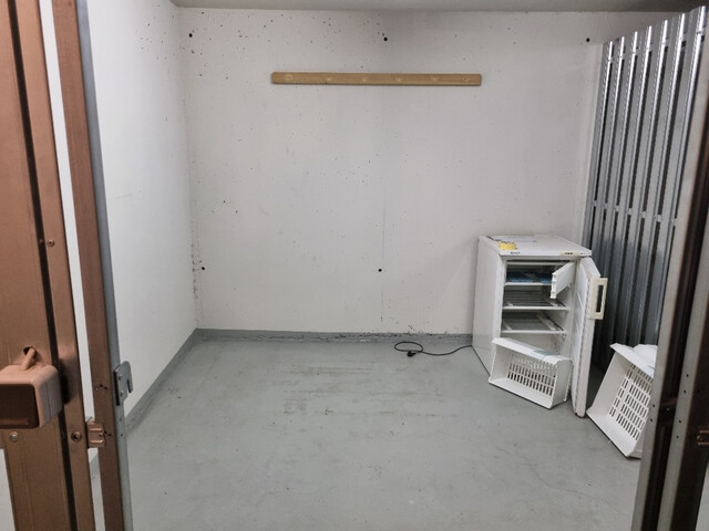 STADTLEBEN MIT GARTEN – 2-ZIMMER-WOHNUNG IN DER KUENGASSE BREGENZ