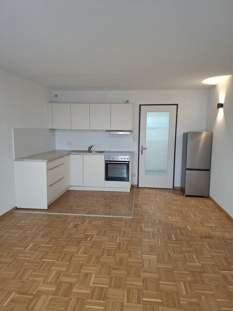 Neu renovierte 1-Zimmer-Wohnung mit ca. 32 m² - provisionsfrei