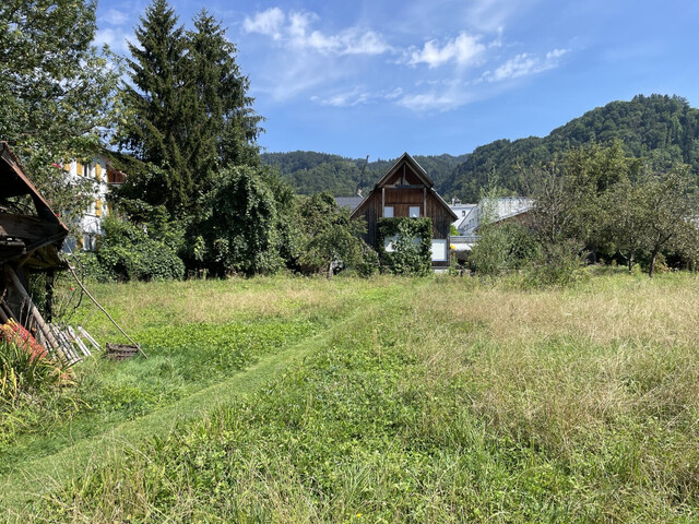 Seltenes Baugrundstück in Dornbirn Haselstauden!