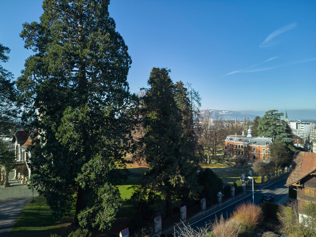 Dornbirn, Oberdorf -  sonnige 3- oder 4-Zimmer-Wohnung im 3. Geschoss mit Blick über ganz Dornbirn