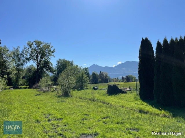 Naturnahes Grundstücke mit atemberaubenden Blick in Lustenau Forststraße