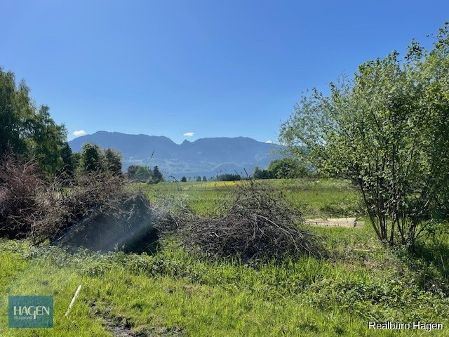 Naturnahes Grundstücke mit atemberaubenden Blick in Lustenau Forststraße