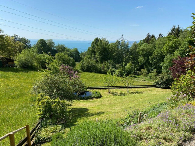 Wunderschönes Einfamilienhaus in herrlicher Aussichtslage am Pfänderhang / Lochau