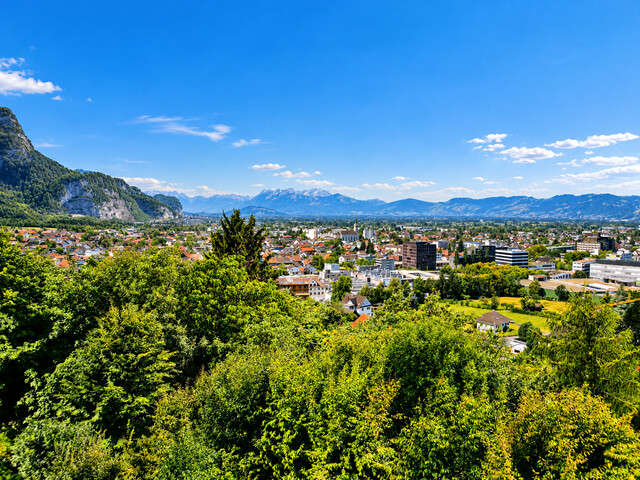 Dornbirn-Zanzenberg: Einzigartiges Wohnerlebnis mit traumhaftem Panorama - SEESICHT