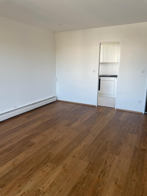 FRISCH RENOVIERT | ERSTBEZUG NACH SANIERUNG | 1-ZIMMER-WOHNUNG MIT BALKON IN WOLFURT