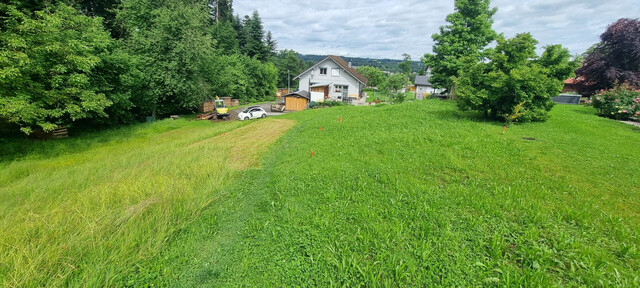 Attraktives Baugrundstück in Hohenweiler