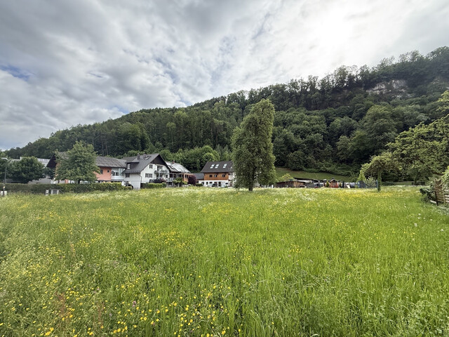 Grundstück  |  Feldkirch  |  Altenstadt  |  1731 m²