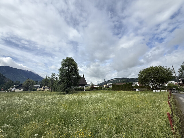 Grundstück  |  Feldkirch  |  Altenstadt  |  1731 m²