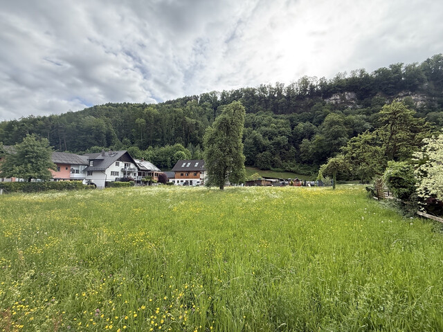 Grundstück  |  Feldkirch  |  Altenstadt  |  1731 m²