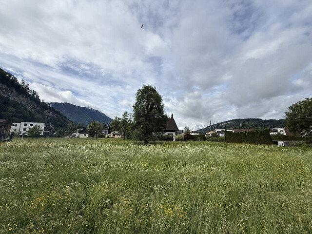 Grundstück  |  Feldkirch  |  Altenstadt  |  1731 m²