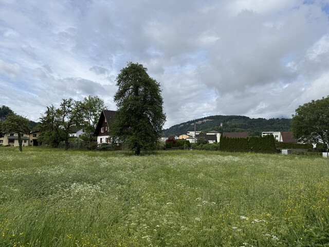 Grundstück  |  Feldkirch  |  Altenstadt  |  1731 m²