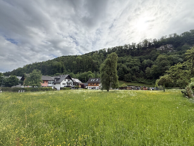 Grundstück  |  Feldkirch  |  Altenstadt  |  1731 m²