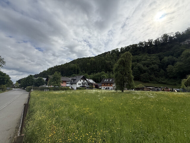 Grundstück  |  Feldkirch  |  Altenstadt  |  1731 m²
