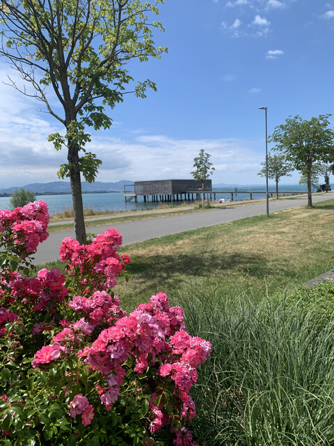 Wohnen am Bodensee: 3Zimmer Gartenwohnung in Toplage nur etwa 150 Meter vom Bodenseeufer – 3 Zi. Garten Wohnung