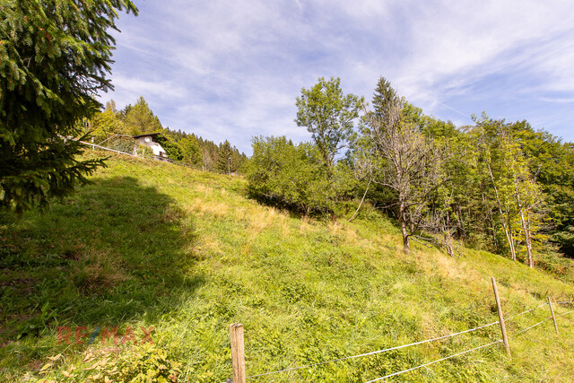 Ankommen und Ausspannen auf 950 m² Naturglück