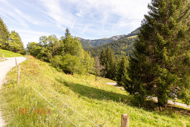 Ankommen und Ausspannen auf 950 m² Naturglück