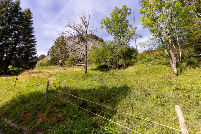 Ankommen und Ausspannen auf 950 m² Naturglück