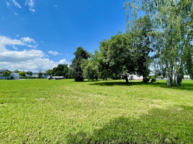 "Hüslebauer" aufgepasst! Attraktives Baugrundstück für Einfamilienhaus/Doppelhaus oder Reihenhaus in Rankweil zu verkaufen!