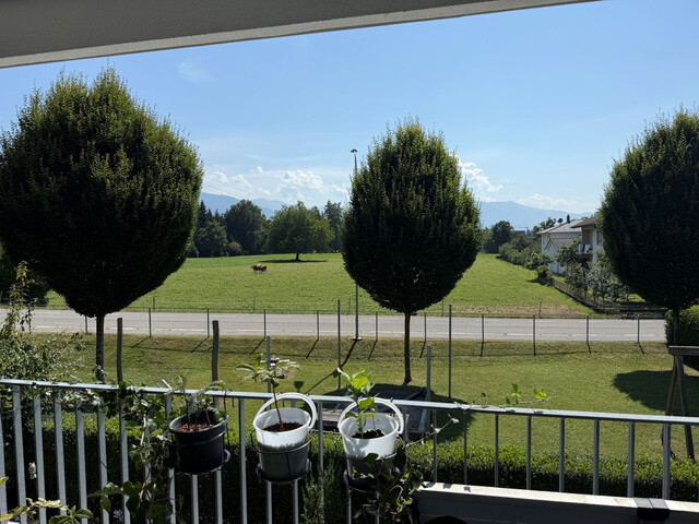 Tolle 3 Zimmer Wohnung mit Wohlfühlterrasse!