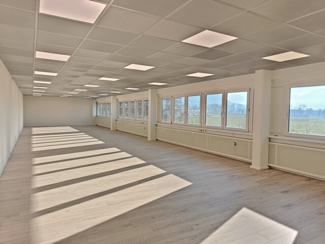 Helle Gewerbefläche in guter Lage