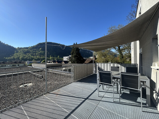 2 Zimmer-Wohnung  |  Toplage  |  große Terrasse  |  saniert