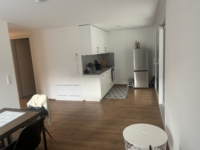 ideale 2-Zimmer Wohnung, keine Vermittlungsprovision, keine Vertragskosten, für Single oder Paar, Innnenstadt Dornbirn perfekt erreichbar