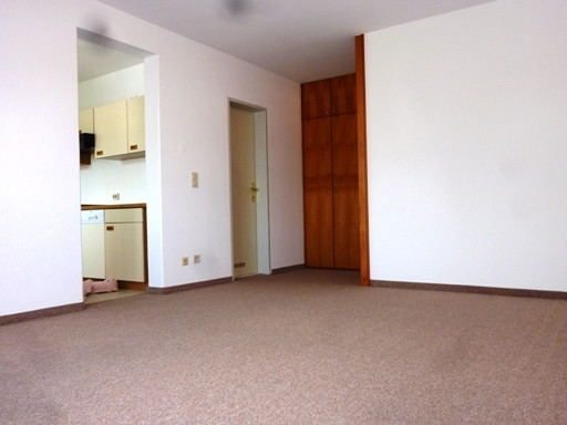 schönes 1-Zimmer-Appartement mit TG-Platz - Ortsmitte - ruhige Lage