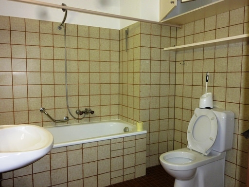 schönes 1-Zimmer-Appartement mit TG-Platz - Ortsmitte - ruhige Lage