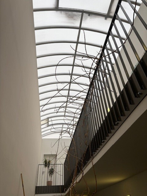 Sonnige 2 Zimmer-Wohnung in Thüringen