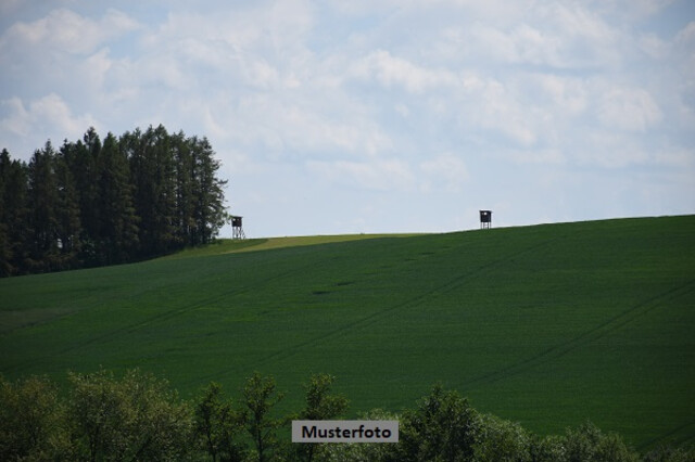 +++ Land- und Forstwirtschaftsfläche +++