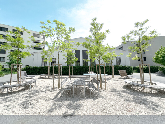 Exklusive Loft-Wohnung im Bäumlequartier in Lochau